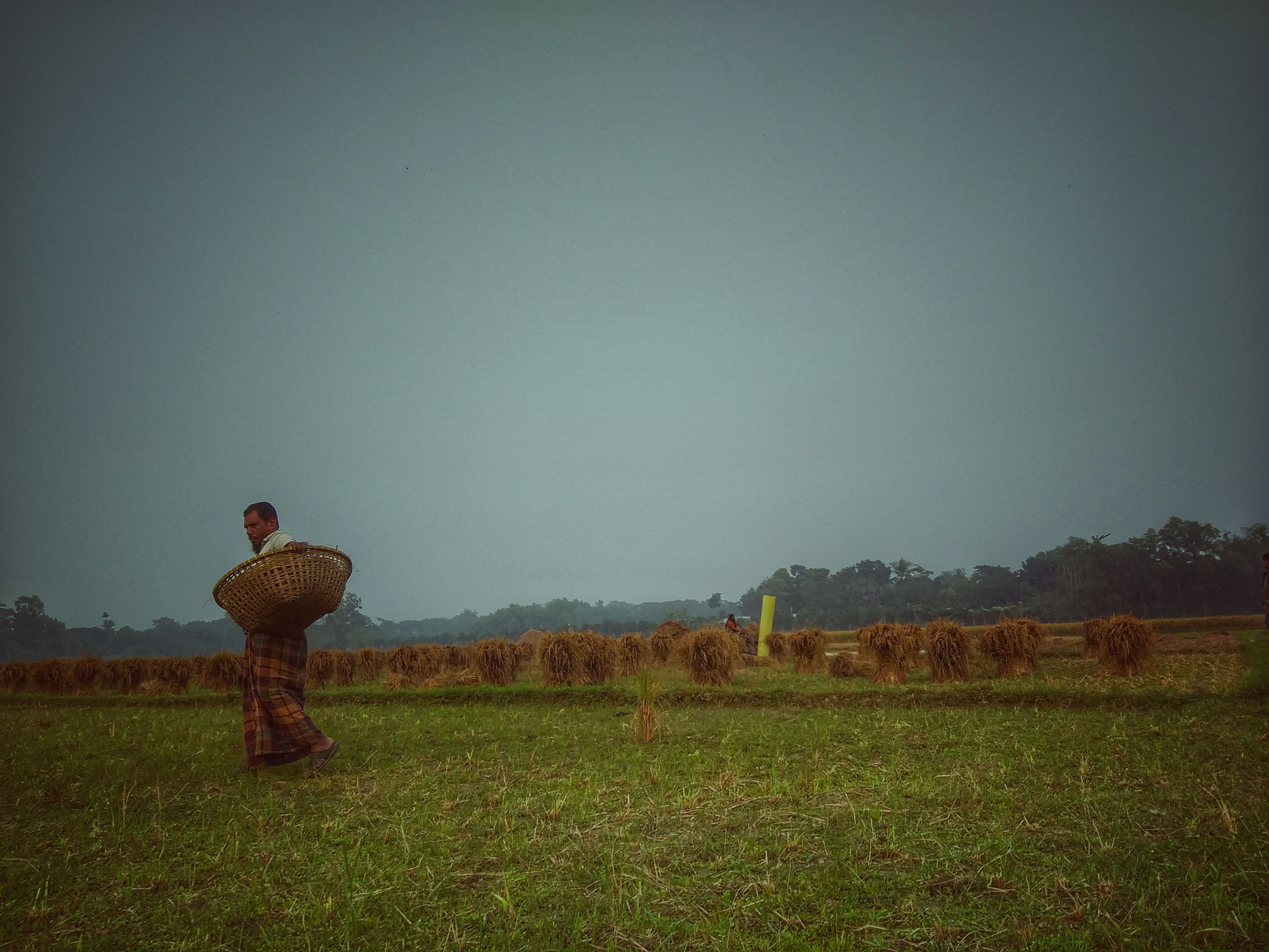 বাংলার কৃষাণ