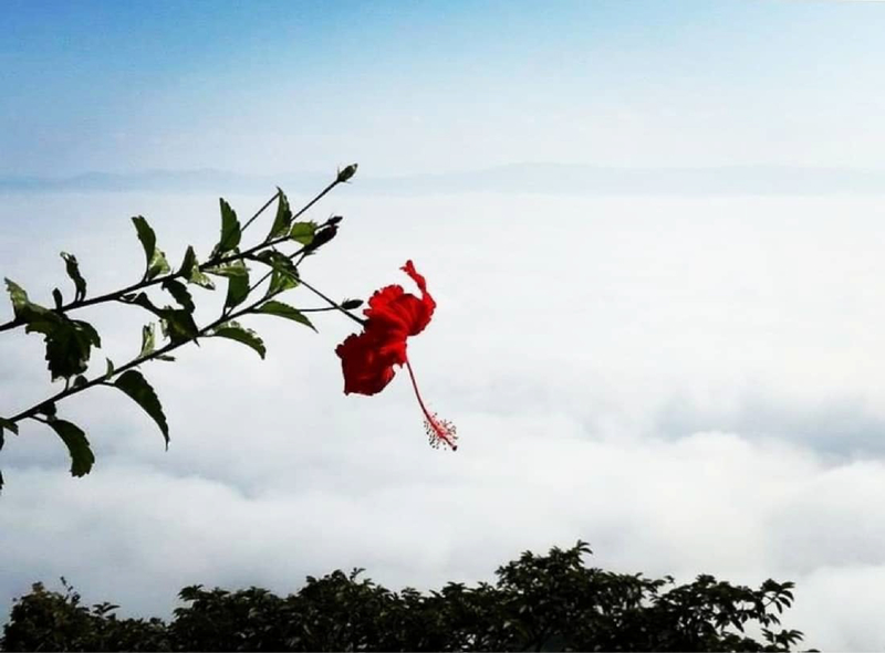 মেঘের দেশে কনকচাঁপা