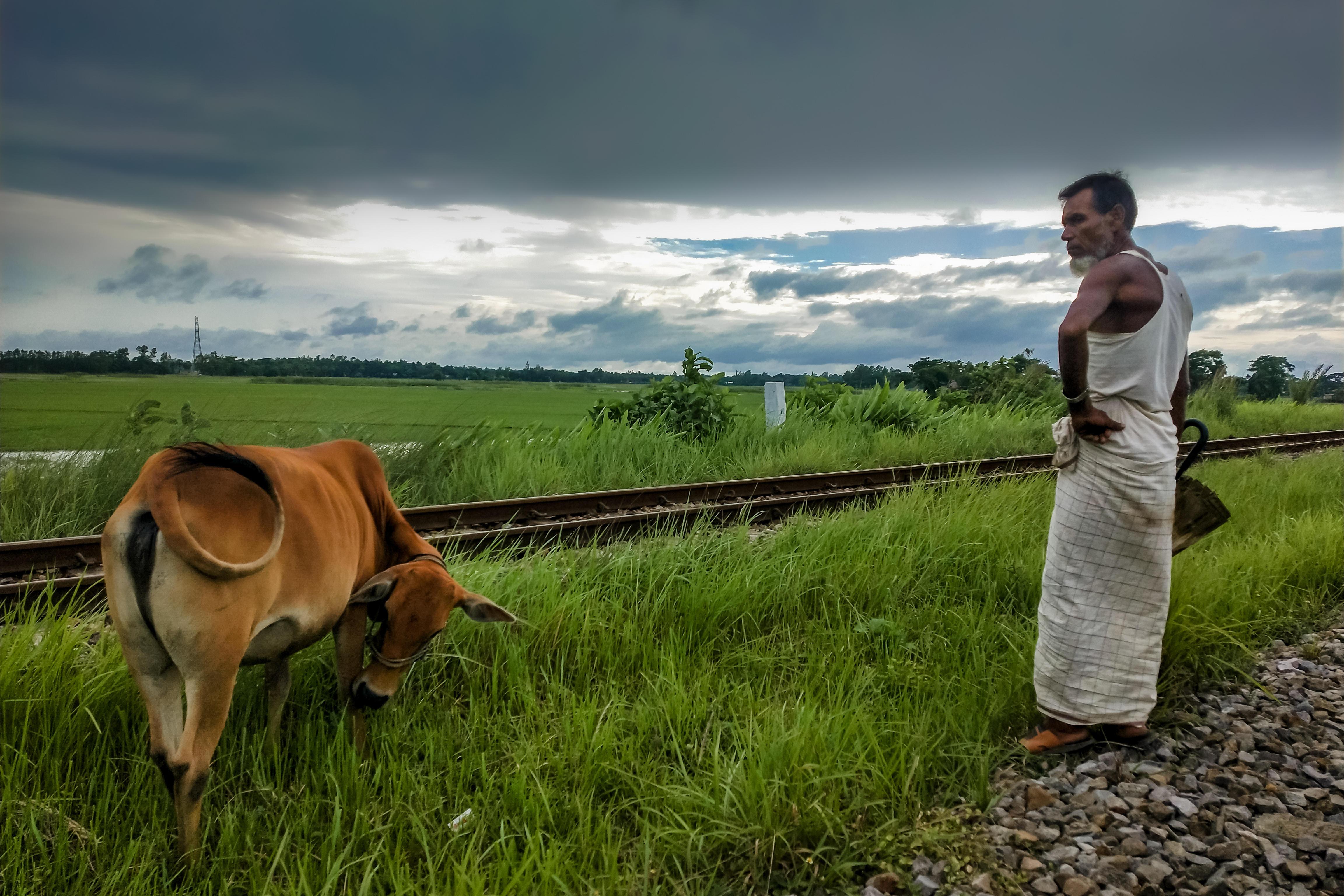 রাখাল