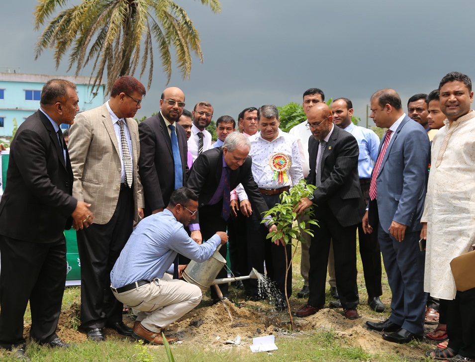 A Month-long Tree Plantation Project