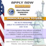 Alice's Visa and Immigration Service