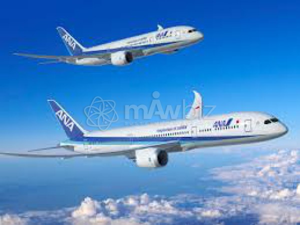 All Nippon Airways