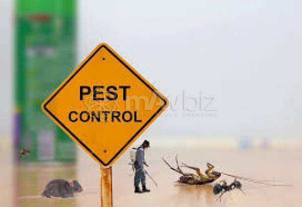 Clean Heart(Pest Control)