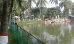 Nehal Green Park