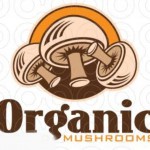 Organic Mushroom