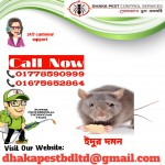 Pest Control Service Dhaka...