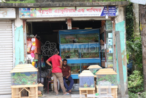 Shawpnopuri Aquarium Pakhi Ghar